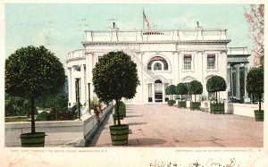 Vintage Postcard 1906 East Terrace The White House Potted Trees Washington D. C.