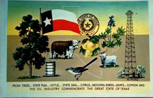 Texas State Flag and More