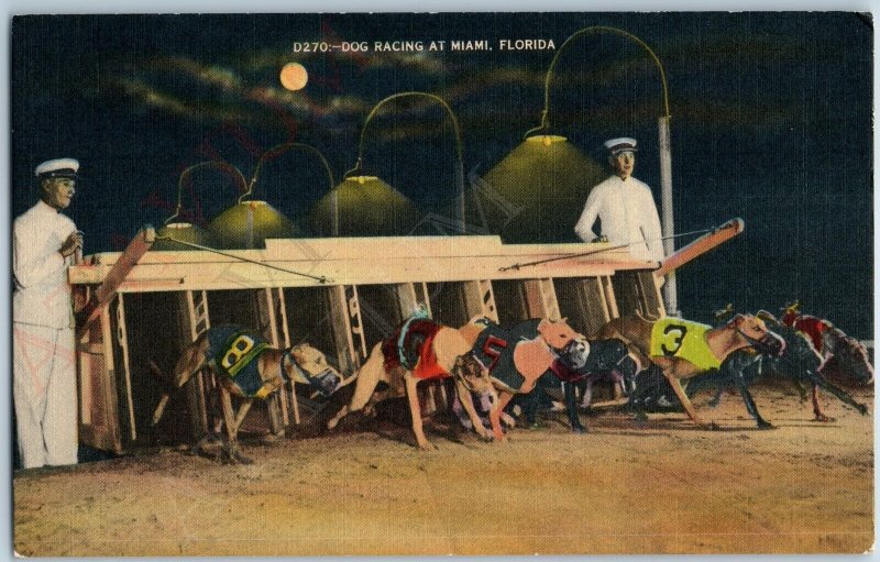 c1940s Miami, FL Dog Racing Greyhound Races Linen Postcard Night Dade Co A190