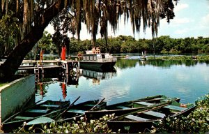 Florida Blue Springs State Park Scene On The Beautiful St John's River 1972