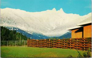 The Lions Vancouver BC North Shore Mountains Unused Vintage Postcard D79