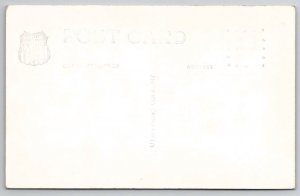 RPPC Daytura Lily Flower Utah Parks Co c1930s  Postcard E23