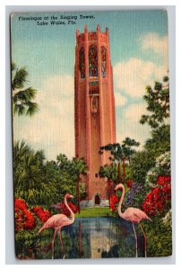 Vintage 1940s Postcard Flamingos at the Singing Tower, Lake Wales, Florida