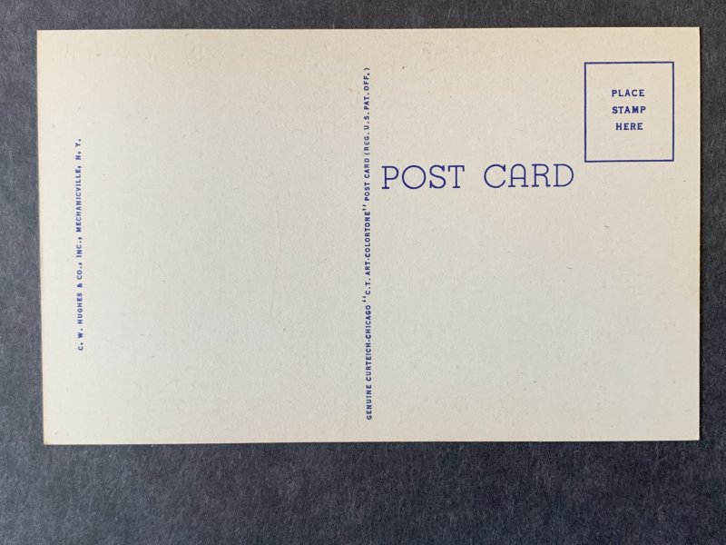 Brown Swan Pub-Gift Shop & PostOffice Schroon Lake NY Linen Postcard H1283092209