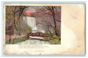 Falls Of Minnehaha Oak Trees Into Valley Poem Minneapolis Minnesota MN Postcard 