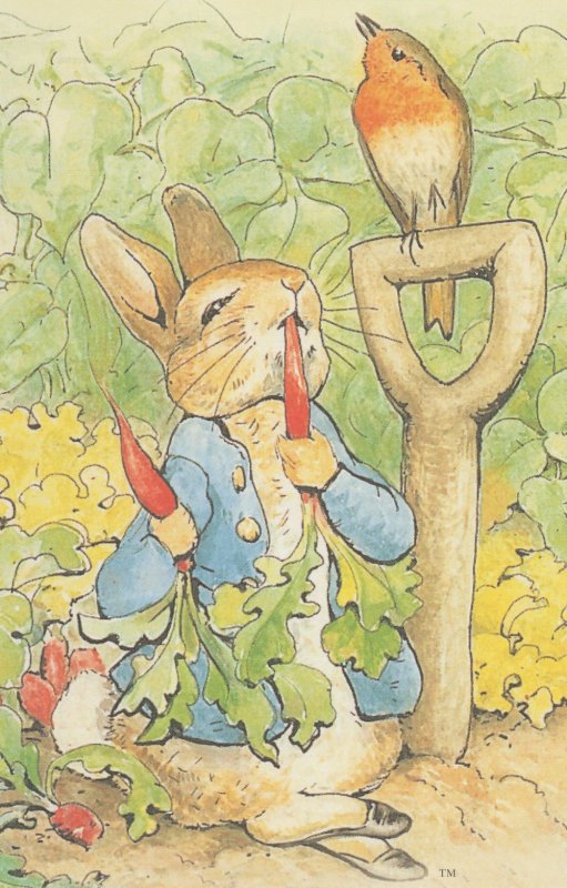 The Tale Of Peter Rabbit Beatrix Potter Munching Radishes Postcard