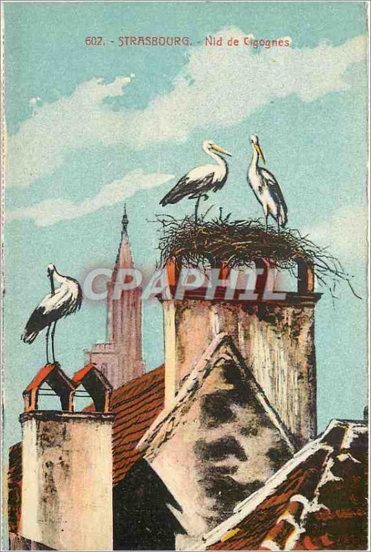 Postcard Old Strasbourg Storks Nest