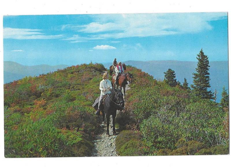 Horseback Riders in The Great Smoky Mountains National Park Tennessee