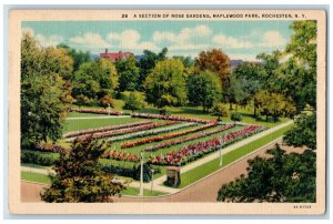 1937 A Section Of Rose Gardens Maplewood Park Rochester New York NY Postcard 