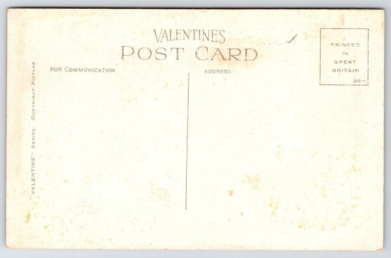 Old Town & Edinburgh Castle~MacGregor Tree & Sword Crest~Plaid Valentine's c1910