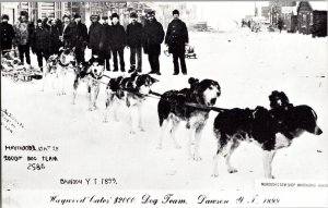 Modern Reprint, Haywood Cates Dog Team Yukon c1899 Vintage Postcard L61