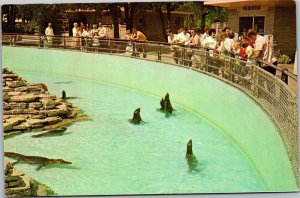 Postcard MN St.  Paul Como Park Zoo Monkey Island Moat seals alligator