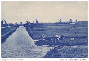 Netherlands Farm and Canal Scene With Windmills