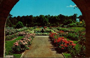 Texas Tyler Municipal Rose Garden