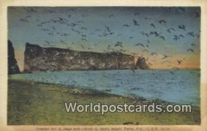 Oiseaux sur la plage sud, Southe Beach Perce, PQ Canada Unused 