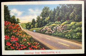 Vintage Postcard 1930-1945 Greetings from Shallotte, North Carolina (NC)