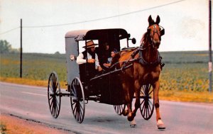 Family Carriage Lancaster, Pennsylvania PA  