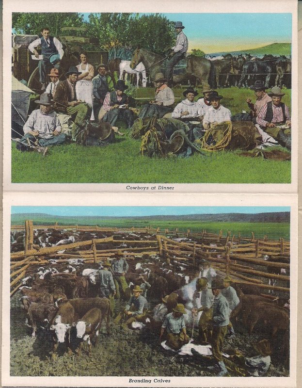 Souvenir FOLDER, Cowboy & Indian Life of West, 1948, Rodeo, Curt Teich Linen