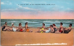 A Tug Of War at Old Orchard Beach Maine Postcard PC490