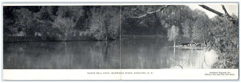 1906 Sugar Ball Eddy Merrimac River Concord New Hampshire NH Antique Postcard