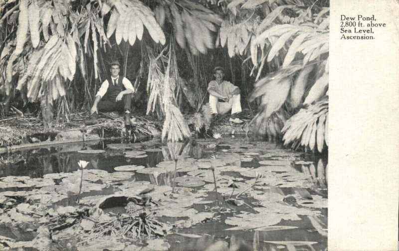 Ascension Island, Dew Pond, 2800 ft. above Sea Level (1900s) Postcard