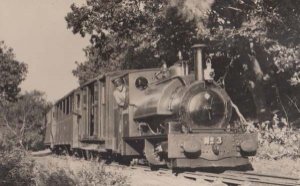 Engine 3 Train Driver at Talyllyn Vintage Welsh Wales Railway Station Postcard