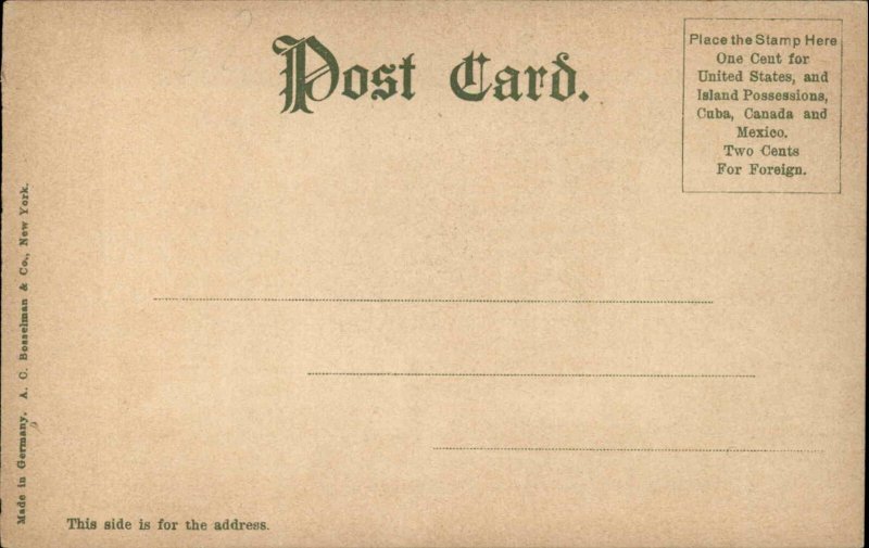 Indianapolis IN Indiana Tomlinson Hall c1900-20'S Vintage Postcard