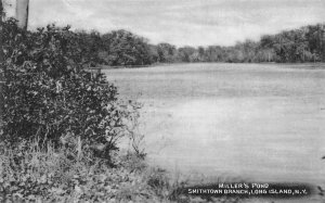 Smithtown Long Island New York Millers Pond Vintage Postcard AA71763