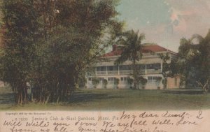 SEMINOLE CLUB & GIANT BAMBOOS MIAMI FLORIDA POSTCARD 1907