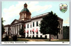 State Capitol~Side View State Seal Tallahassee Florida~IPCC c1910 Vintage Postca