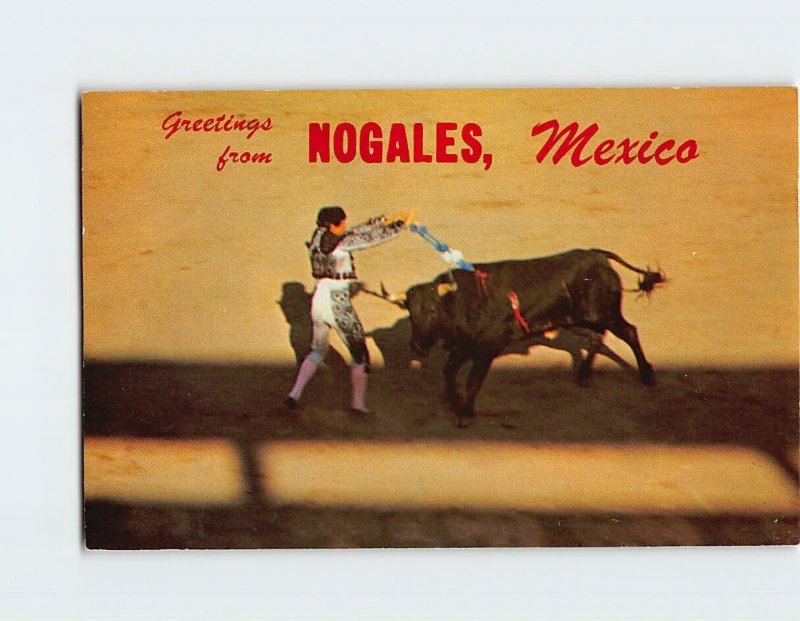 Postcard Bullfight In Old Mexico, Greetings from Nogales, Mexico