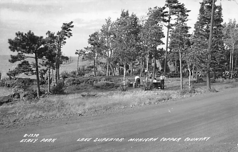 Esrey Park Michingan Copper Country, Real Photo Lake Superior MI 