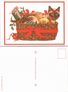 Cat in Basket (33075