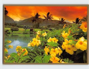 Postcard Maui Tropical Plantation, Waikapu Valley, Wailuku, Hawaii
