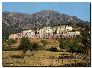 Old Postcard Partial Moltifao The Village