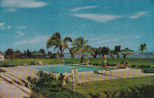 Florida Everglades National Park Fresh Water Swimming Pool At Flamingo Lodge