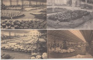 FLOWER EXPOSITION Gand 1908, 1933,1955 Belgium 42 Vintage Postcards (L5473)