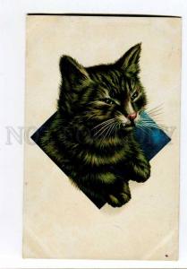 257243 Portrait of PUSSY CAT in Window Vintage LITHO Russia PC