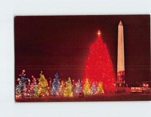 Postcard The National Christmas Tree, Washington, District of Columbia