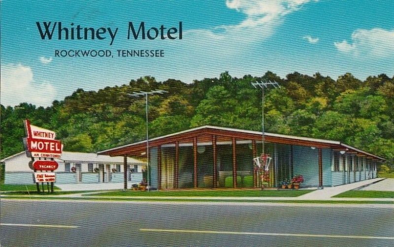 Postcard Whitney Motel Rockwood TN 1963