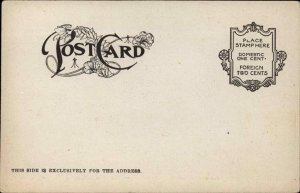 BUSY BEARS Hanging Laundry on Line Monday c1910 Postcard 