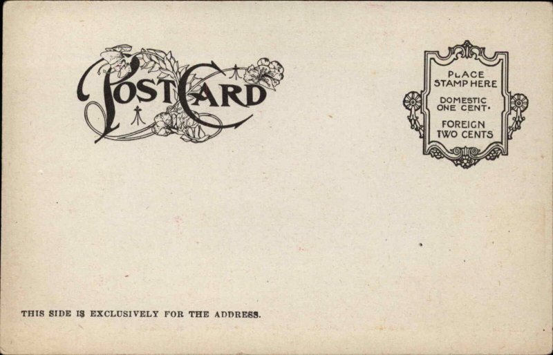 BUSY BEARS Hanging Laundry on Line Monday c1910 Postcard 