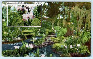 MILWAUKEE, WI ~ 4000 Orchid Show at MITCHELL PARK CONSERVATORY c1940s   Postcard