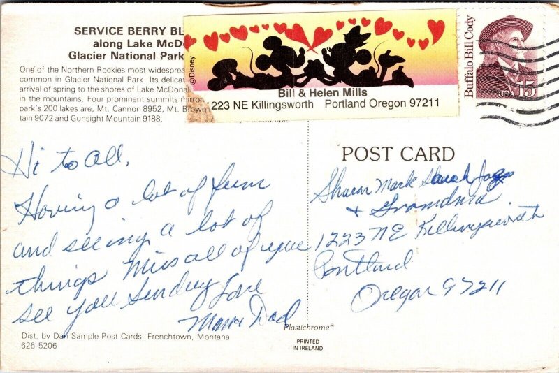 Service Berry Lake Glacier National Park Mountains Postcard Cancel WOB Note 15c  