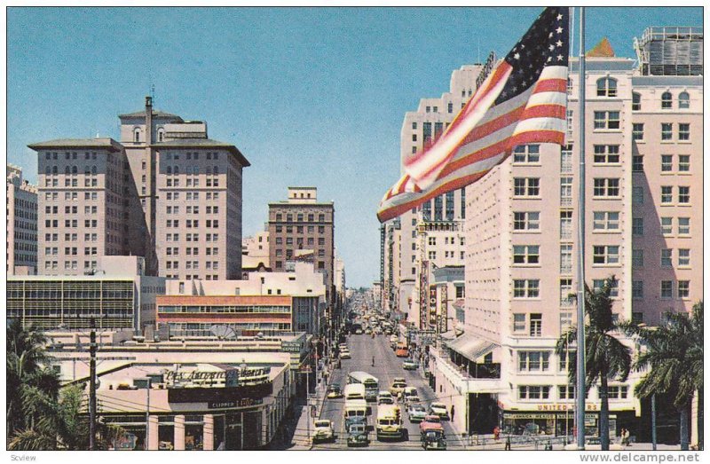 American Flag, Double Sided Street View, Flagler Street From Biscayne Blvd, M...