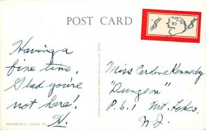 Elbow Beach Surf Club Paget Bermuda Postcard