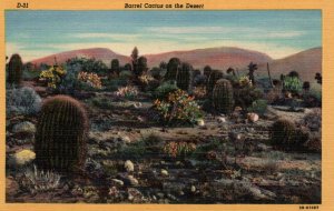 Barrel Cactus on the Desert