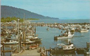 Transportation~Boats In Marina Of Columbia River~Chinook Port Basin WA~Vintage P 