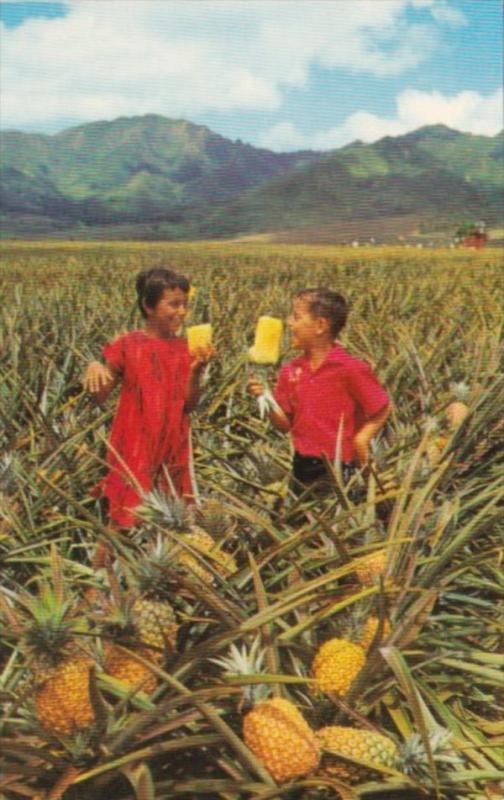 Hawaii Children Enjoying Field Ripe Pineapples