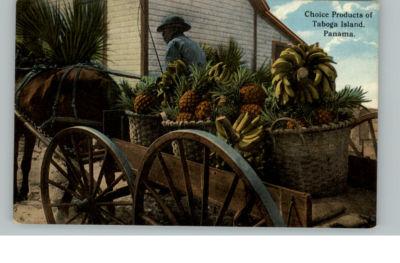 TABOGA ISLAND PANAMA Native in Fruit Wagon c1910 PC